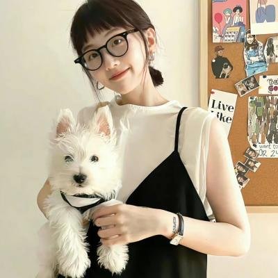 镜面奇情